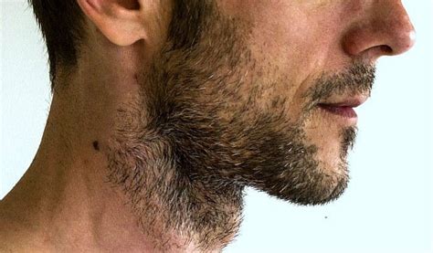 how to grow stubble beard